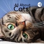 Logo of the podcast All About Cats Podcast All About Cats