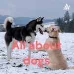 Podcast All about dogs