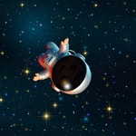 Logo of the podcast All About Nothing With Ruth Cohn Podcast All About Nothing With Ruth Cohn