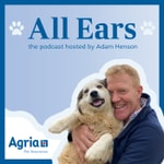 Logo of the podcast All Ears Podcast All Ears