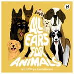 Logo of the podcast All Ears for Animals Podcast All Ears for Animals