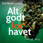 Logo of the podcast Alt godt for havet Podcast Alt godt for havet