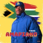 Logo of the podcast AMAPIANO MIXES PODCAST Podcast AMAPIANO MIXES PODCAST