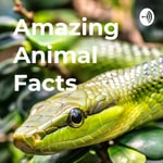 Podcast Amazing Animal Facts