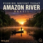Logo of the podcast Amazon River, Brazil Fishing Report Today Podcast Amazon River, Brazil Fishing Report Today