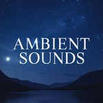 Logo of the podcast Ambient Sounds Podcast Ambient Sounds
