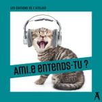 Logo of the podcast Ami⸱e entends-tu ? Podcast Ami⸱e entends-tu ?