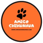 Logo of the podcast Amigo Chihuahua Podcast Amigo Chihuahua