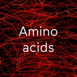 Podcast Amino acids