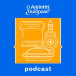 Podcast Amintiri Gustoase