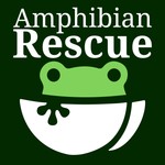 Logo of the podcast Amphibian Rescue Podcast Amphibian Rescue
