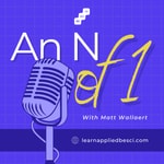 Logo of the podcast An N of 1 Podcast An N of 1