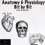 Anatomy and Physiology - Bit by Bit Podcast Anatomy and Physiology - Bit by Bit