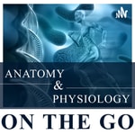 Logo of the podcast Anatomy & Physiology On The Go Logo of the podcast Anatomy & Physiology On The Go