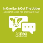 Logo of the podcast Anexa Veterinary Services In One Ear & Out The Udder Podcast Podcast Anexa Veterinary Services In One Ear & Out The Udder Podcast