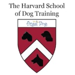 Logo of the podcast Angel Dog Specialty Coaching Podcast Angel Dog Specialty Coaching