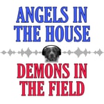 Logo of the podcast Angels in the House, Demons in the Field Podcast Angels in the House, Demons in the Field