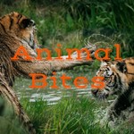 Logo of the podcast Animal Bites Podcast Animal Bites
