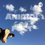 Logo of the podcast Animal fact Podcast Animal fact