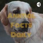 Podcast Animal Facts Daily 
