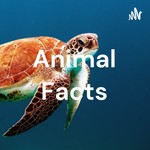 Logo of the podcast Animal Facts Podcast Animal Facts