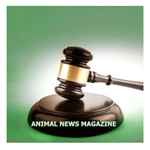 Animal News Magazine Podcast Animal News Magazine