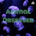 Logo of the podcast Animal Obsessed Podcast Animal Obsessed