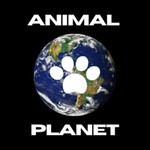 Logo of the podcast Animal Planet Podcast Animal Planet