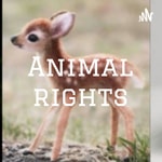 Podcast Animal rights