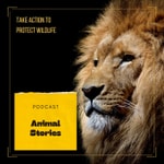Logo of the podcast Animal Stories Podcast Animal Stories