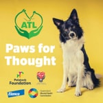 Podcast Animal Therapies Ltd Podcast