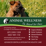 Logo of the podcast Animal Wellness Vets Podcast Animal Wellness Vets