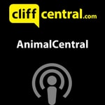 Logo of the podcast AnimalCentral Podcast AnimalCentral