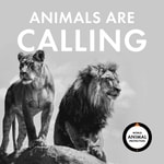 Logo of the podcast Animals Are Calling Podcast Animals Are Calling
