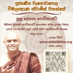 Podcast Animiththa - Venerable Wagadapola Wimalagnana Thero
