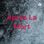 Logo of the podcast Après La Mort Podcast Après La Mort