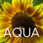 Podcast AQUA