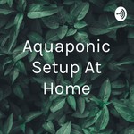 Logo of the podcast Aquaponic Setup At Home Podcast Aquaponic Setup At Home
