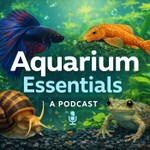 Logo of the podcast Aquarium Essentials Podcast Aquarium Essentials