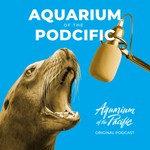Aquarium of the Podcific Podcast Aquarium of the Podcific