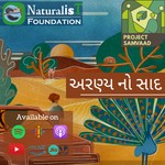 Logo of the podcast અરણ્ય નો સાદ Aranya no saad Podcast અરણ્ય નો સાદ Aranya no saad