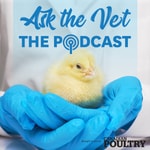 Logo of the podcast Ask the Vet Podcast Ask the Vet