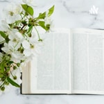 Podcast Aspiring Tradwife Podcast