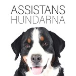 Logo of the podcast Assistanshundarna Podcast Assistanshundarna