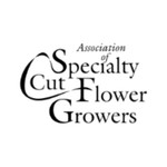 Bloom Together: The Association of Specialty Cut Flower Growers' Podcast Podcast Bloom Together: The Association of Specialty Cut Flower Growers' Podcast