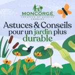 Logo of the podcast Astuces & Conseils pour un jardin plus durable Podcast Astuces & Conseils pour un jardin plus durable