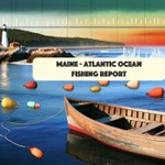 Logo of the podcast Atlantic Ocean, Maine Fishing Report - Daily Podcast Atlantic Ocean, Maine Fishing Report - Daily