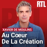 Logo of the podcast Au cœur de la création Podcast Au cœur de la création
