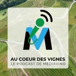 Logo of the podcast Au coeur des vignes, le podcast vin Podcast Au coeur des vignes, le podcast vin