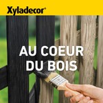 Au coeur du bois Podcast Au coeur du bois